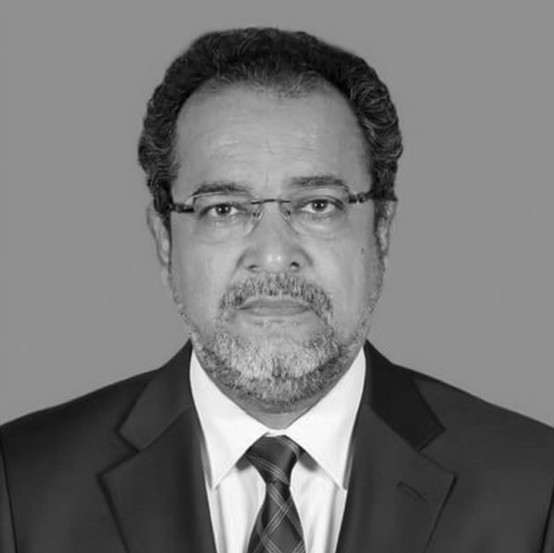 CA Surendraa Singhvii — Honorary Advisor